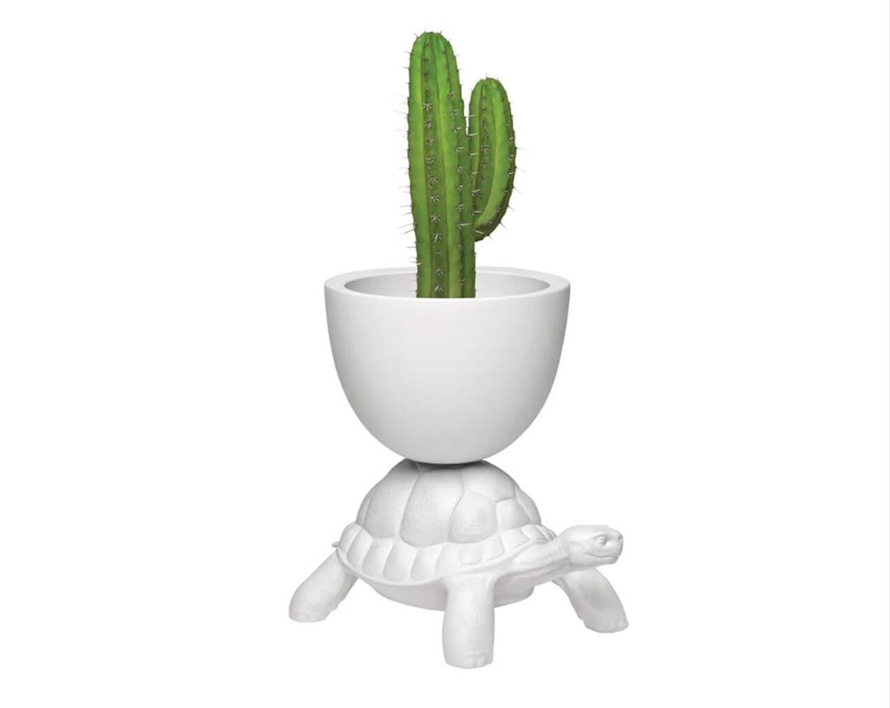 Turtle-Carry-Planter-And-Champagne-Cooler-White